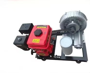 Diesel engine motor ring blower